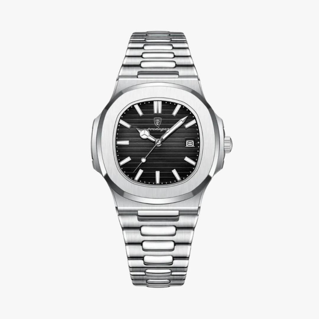 Luxury Steel Watch